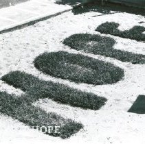 HOPE spelled with grass next to clinic.